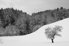 Linz-to-Insbruk-(137)