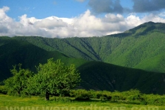 Border-to-Yevlakh-(121)