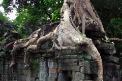 Angkor wat (69)