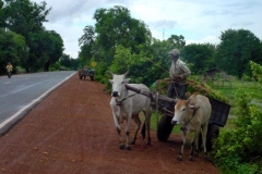 Kam to Phnom (96)