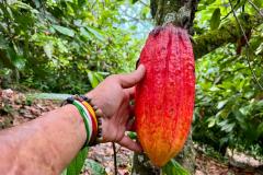 WhatsApp-Image-2025-10-10-at-06.02.05-2