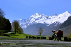 Pyrenees-(473)