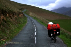 Pyrenees-(83)