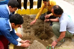 Tree-planting-Birjand-(50)