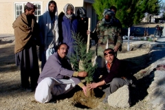 planting tree Quetta