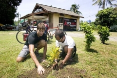 planting tree with rick