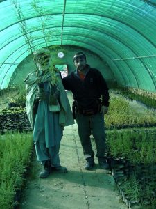 planting tree in quetta