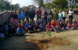 Planting tree in Chandigahr