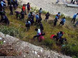 Planting 300 trees in Pokhara