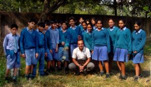 Planting tree in modern school