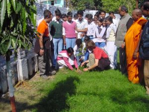 Planting tree in Varanasy