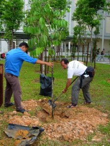 Planting the first tree in Malaysia