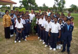 Planting tree in Nebong Tebal