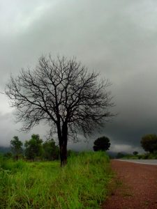 Kampot