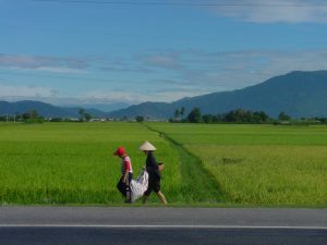 Cycling to Jogjakarta