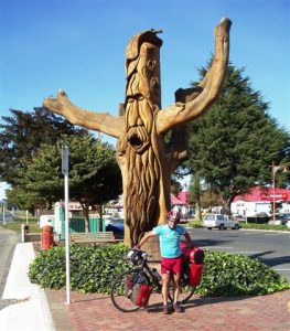 Tokoroa and planting tree with birds and forest conservation