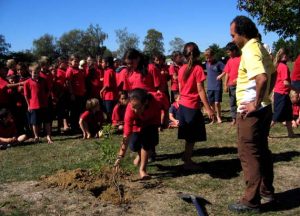 Planting tree in Peachgove school