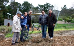 Planting tree in Melbourne