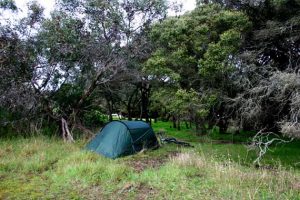 Gold coast to Forster