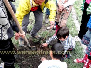 Planting tree and workshop in Artzakh dormitory