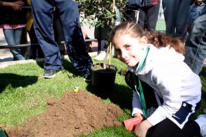 Planting tree in Barcelona