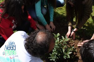 Planting tree in Girona