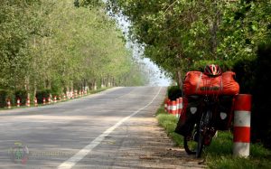 Start cycling in China with Bamboo